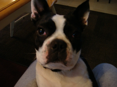 Pickle
