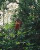Robyn in woods