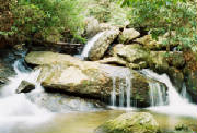 The Stone and living water