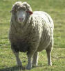 BAAABAAA